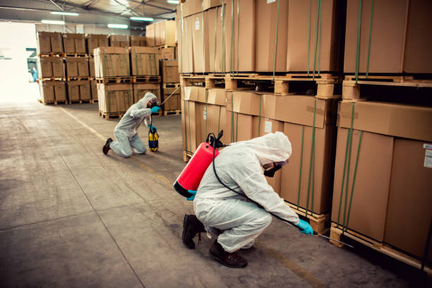Best Exterminator Services  in Decatur, IL
