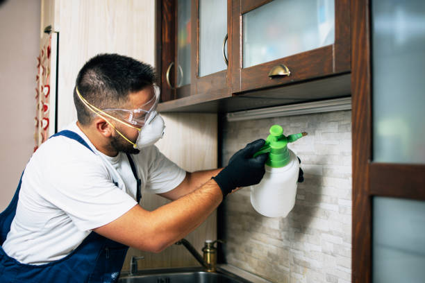 Best Exterminator Services  in Decatur, IL