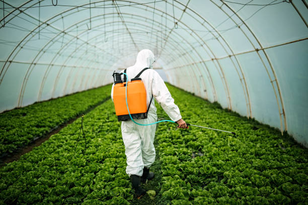 Best Affordable Pest Control Services  in Decatur, IL