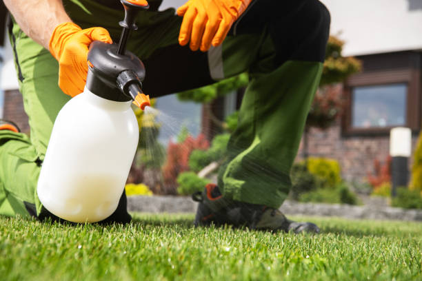 Best Termite Control Services  in Decatur, IL