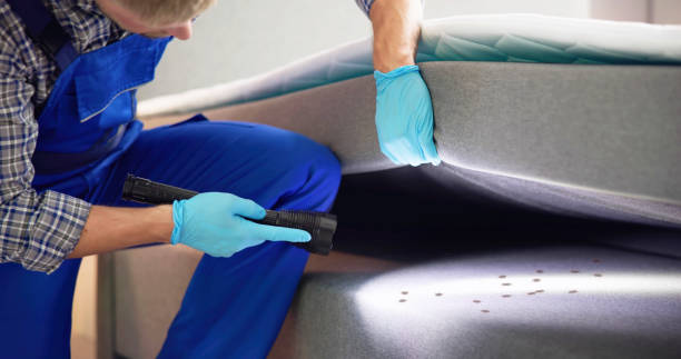 Wasp Removal Services in Decatur, IL