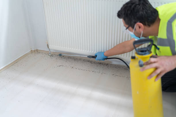 Best Wasp Removal Services  in Decatur, IL