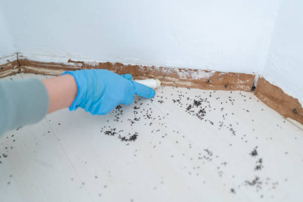 Best Best Pest Control Companies  in Decatur, IL
