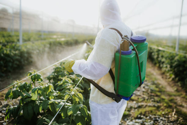 Best Affordable Pest Control Services  in Decatur, IL